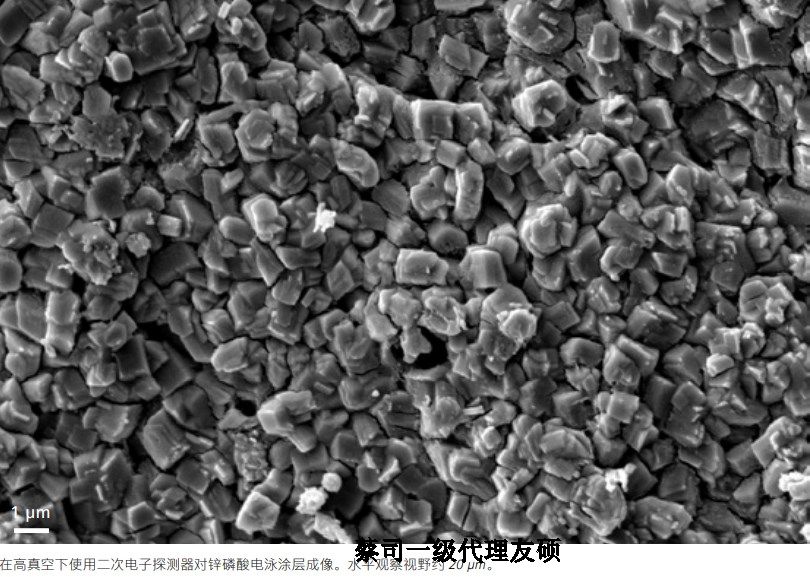 盘锦蔡司盘锦扫描电镜