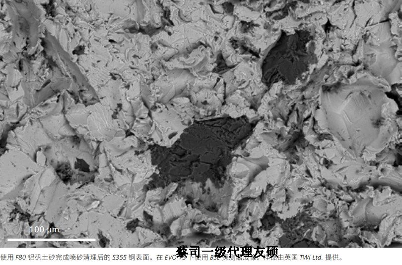 盘锦蔡司盘锦扫描电镜EVO