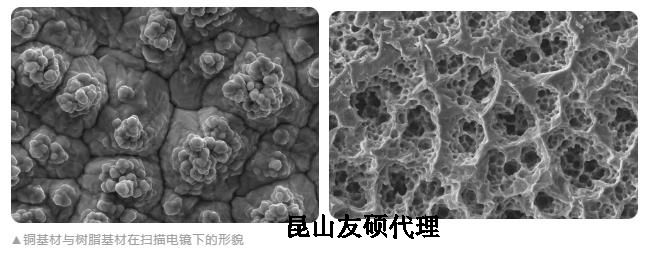 盘锦蔡司盘锦扫描电镜